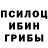 Еда ТГК конопля Shelvia Shelviana