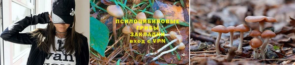 MESCALINE Дмитровск