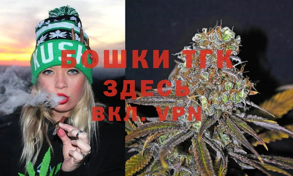 PSILOCYBIN Валуйки
