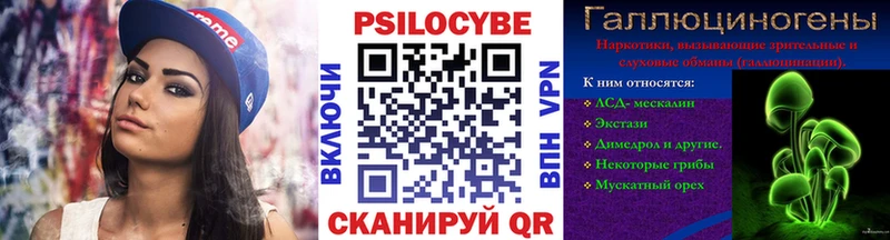 Псилоцибиновые грибы Psilocybe  kraken tor  Кинешма 
