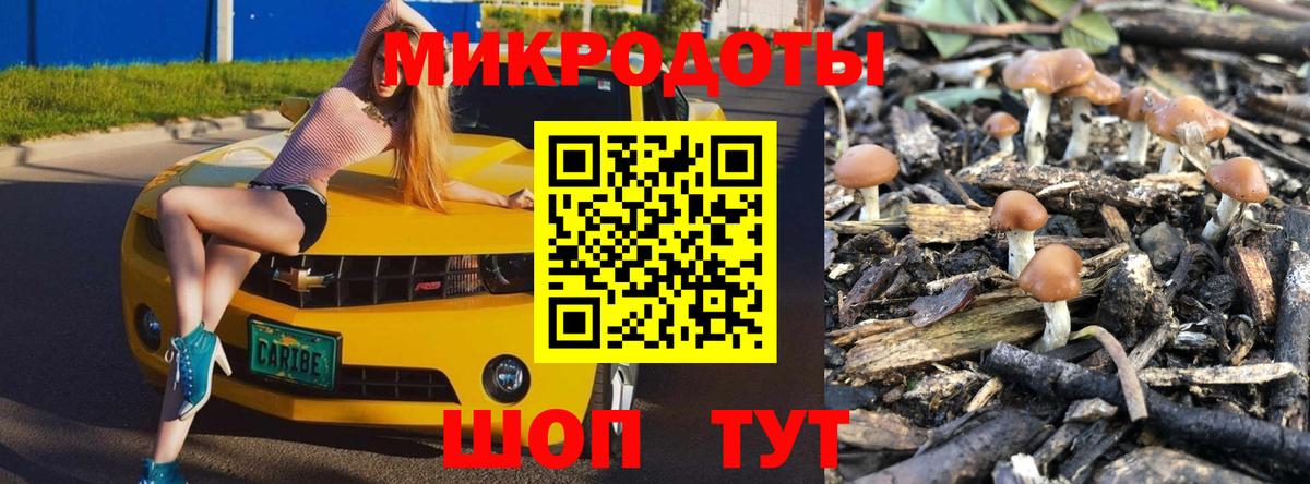 Кинешма  где продают наркотики  Вход с VPN  Галлюциногенные грибы Psilocybe  Псилоцибиновые грибы прущие грибы 
