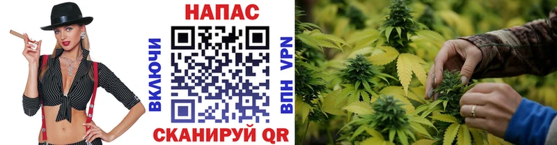 OMG сайт  Кинешма  Марихуана семена 